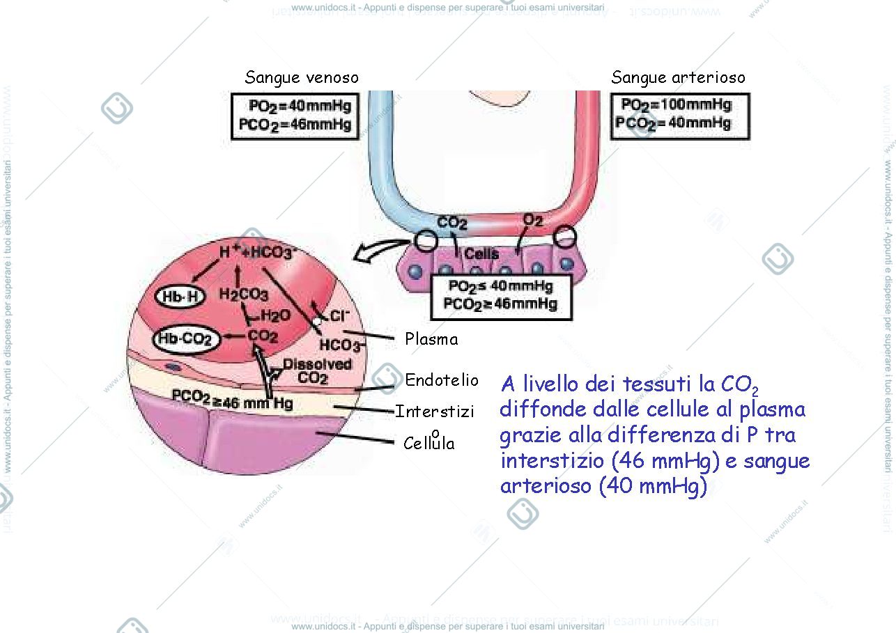 Anteprima pagina 2 — Trasporto CO2