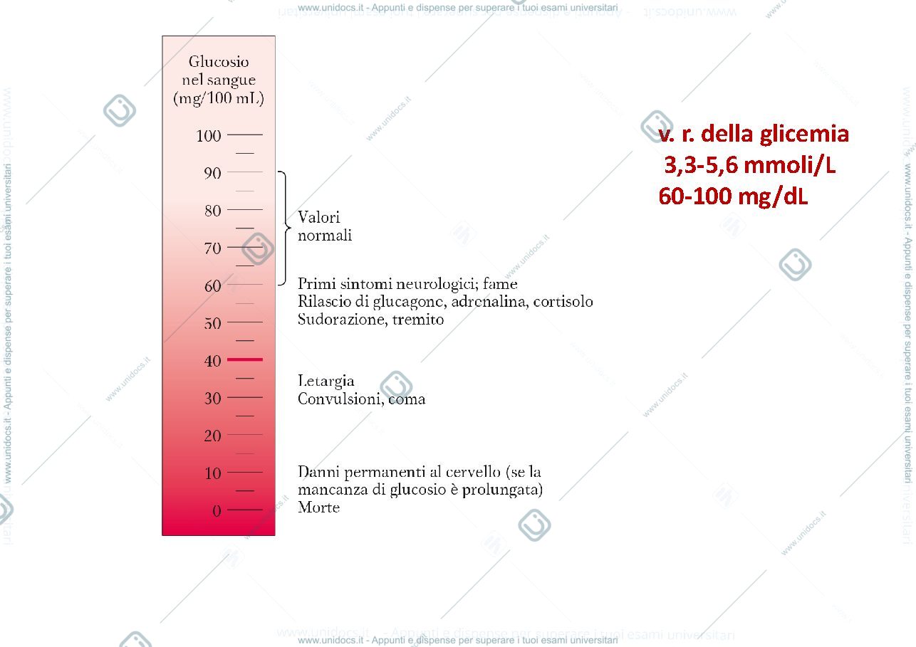 Anteprima pagina 3 — Diabete_e_ipoglicemia