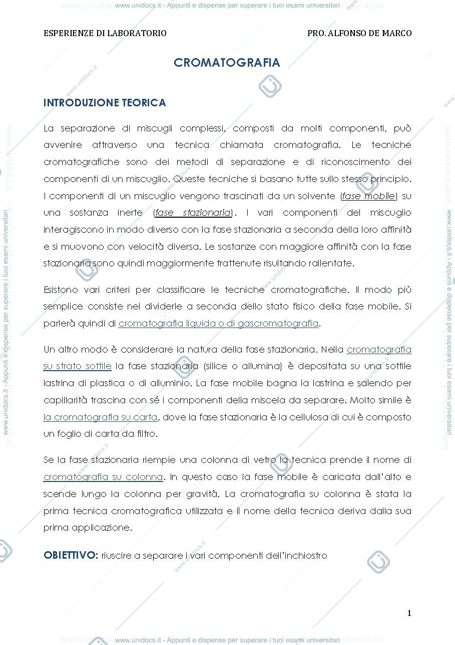Anteprima pagina 1 — cromatografia (3)