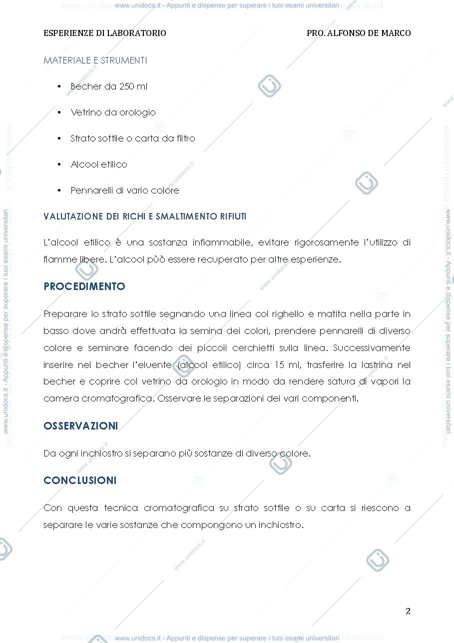 Anteprima pagina 2 — cromatografia (3)