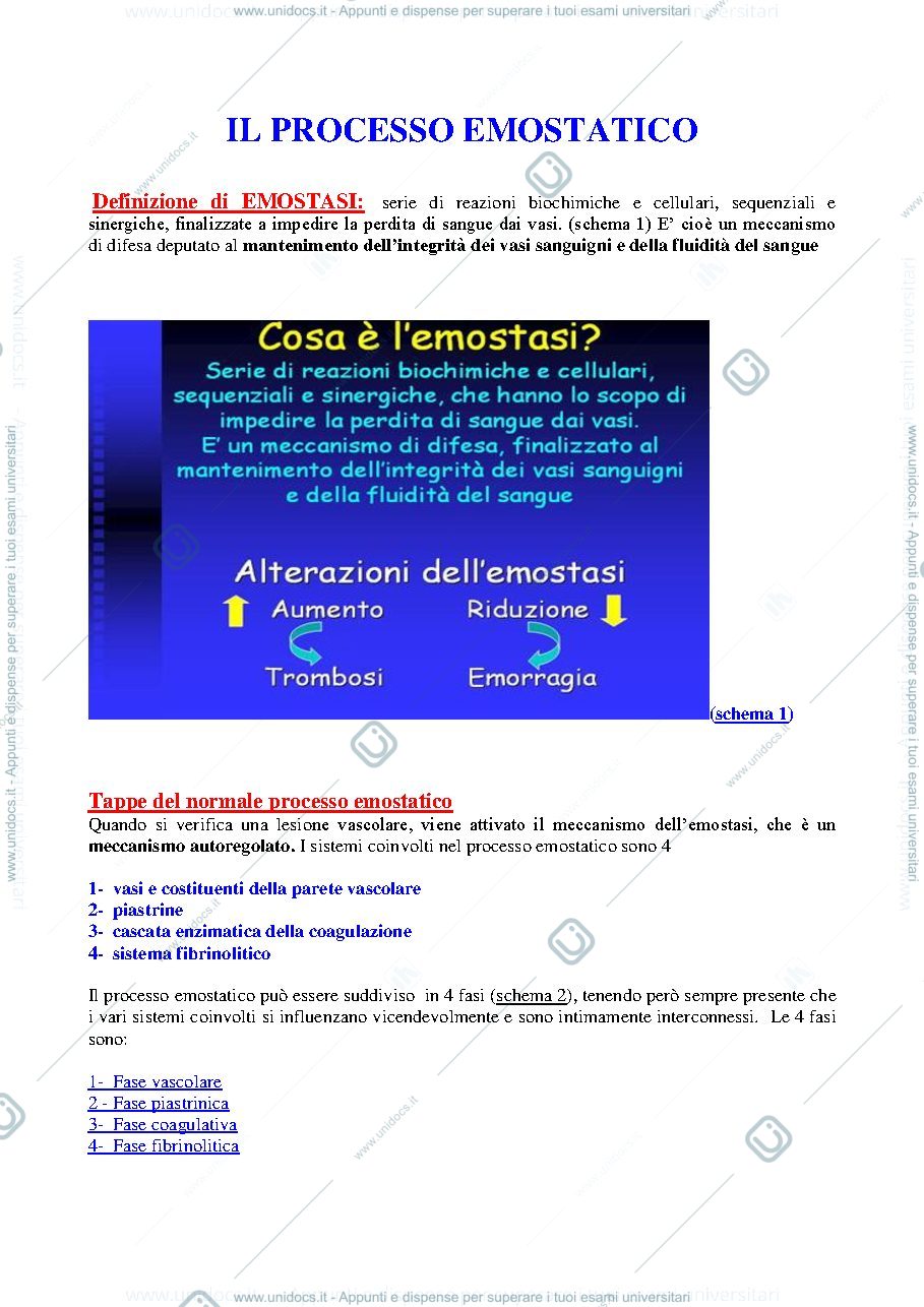 Anteprima pagina 1 — IL-PROCESSO-EMOSTATICO
