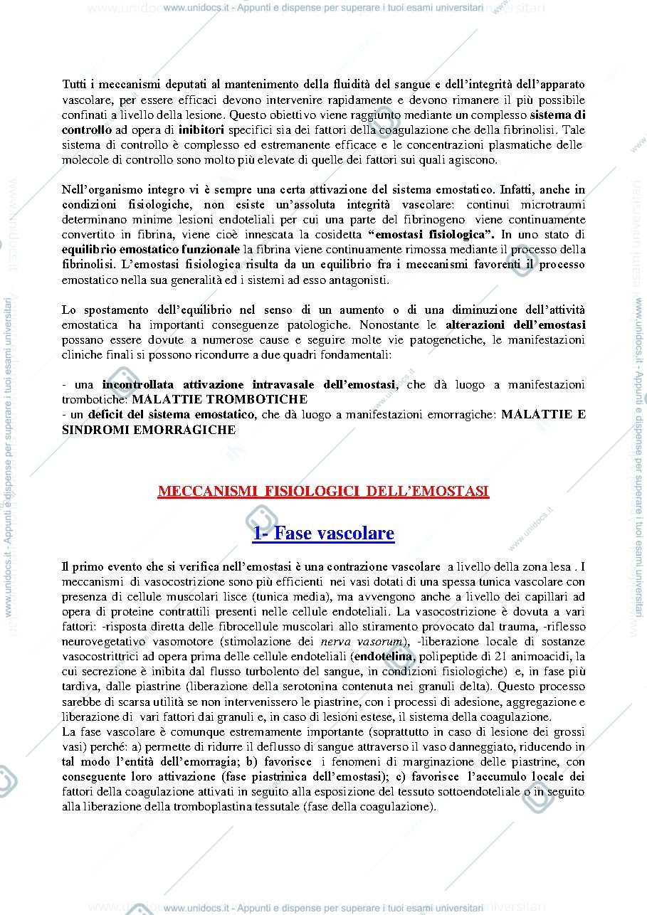 Anteprima pagina 3 — IL-PROCESSO-EMOSTATICO