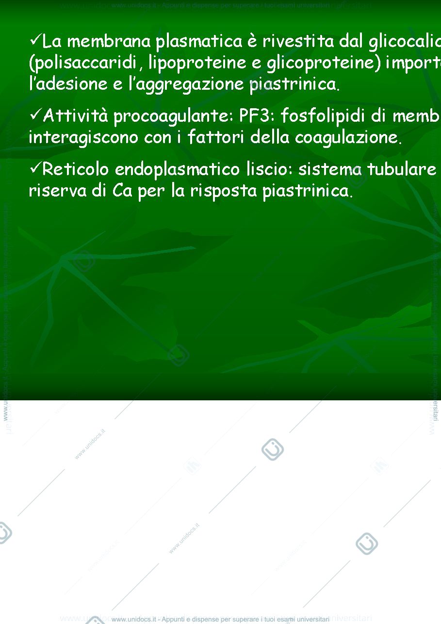 Anteprima pagina 2 — coagulazione