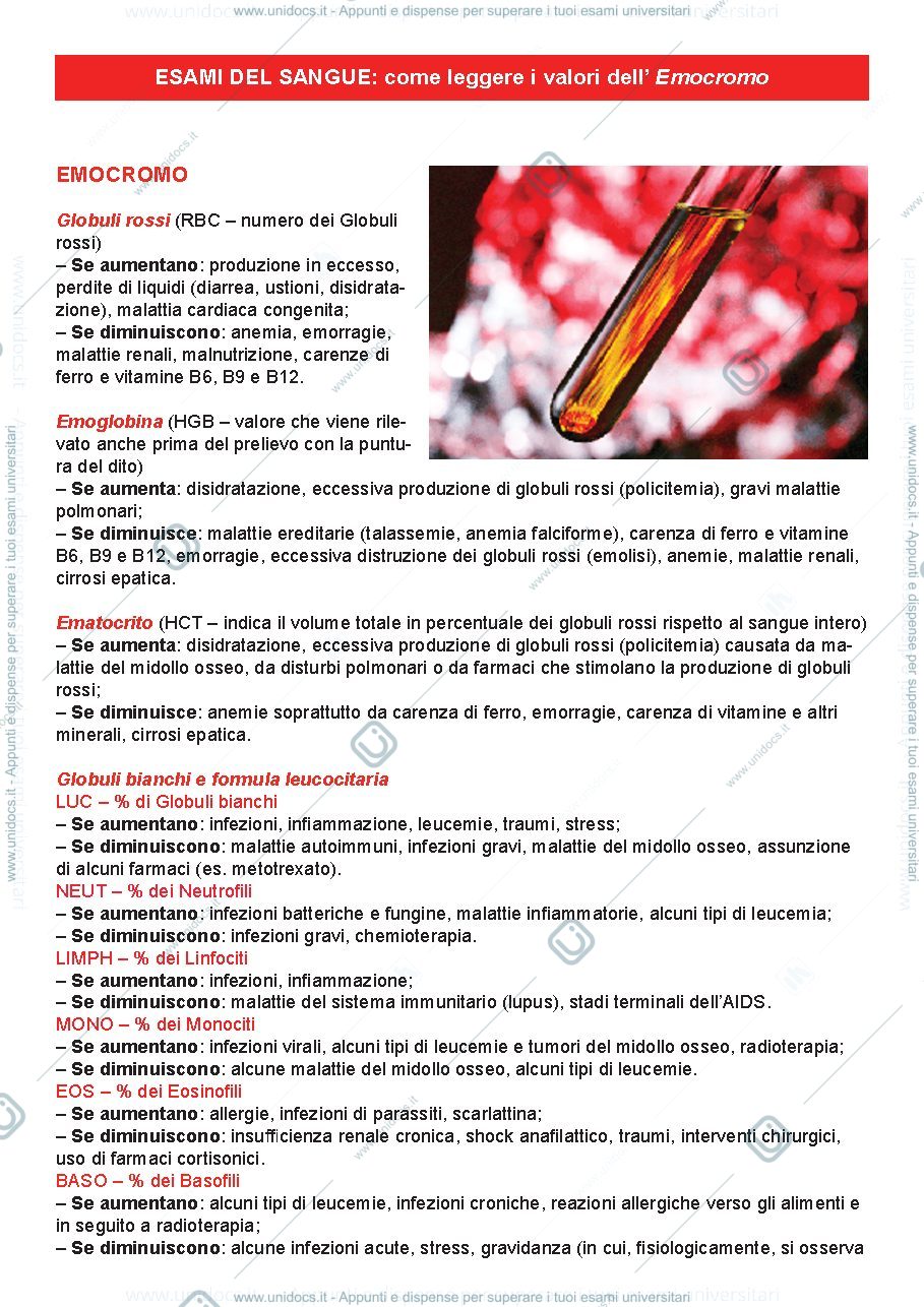 Anteprima pagina 1 — esami_profilo_emocromo