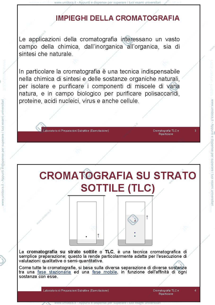 Anteprima pagina 2 — Cromatografia_su_TLC
