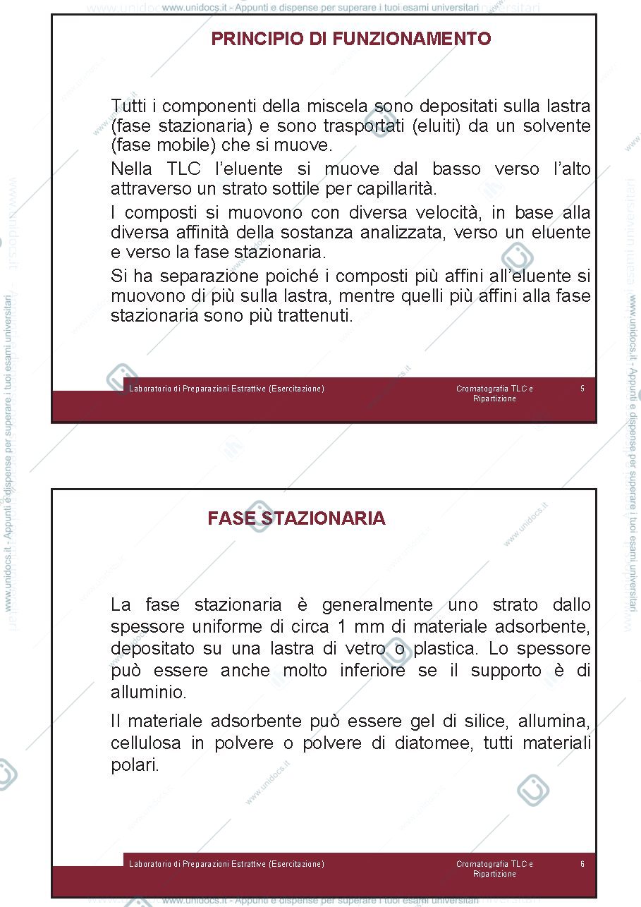 Anteprima pagina 3 — Cromatografia_su_TLC