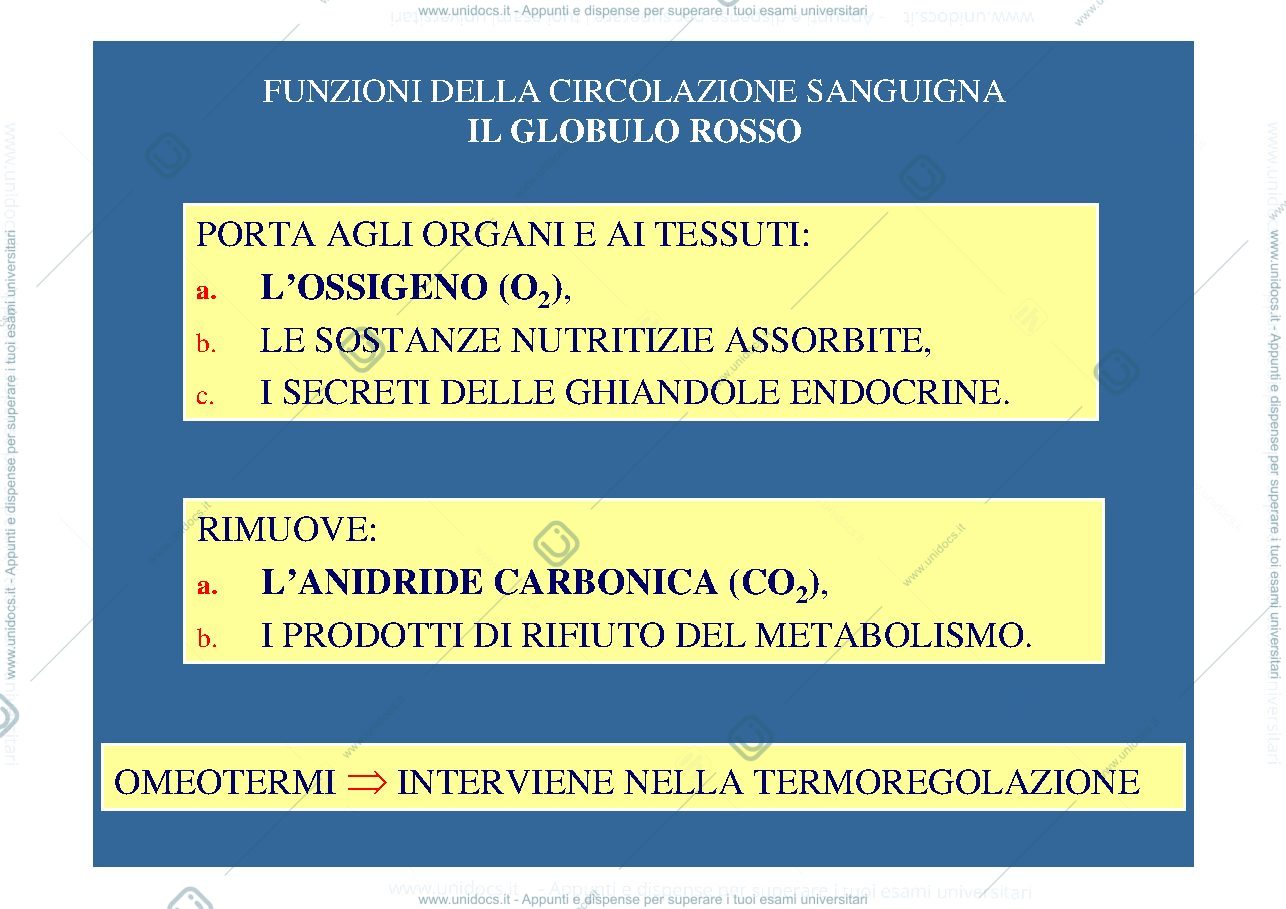 Anteprima pagina 1 — Il globulo rosso