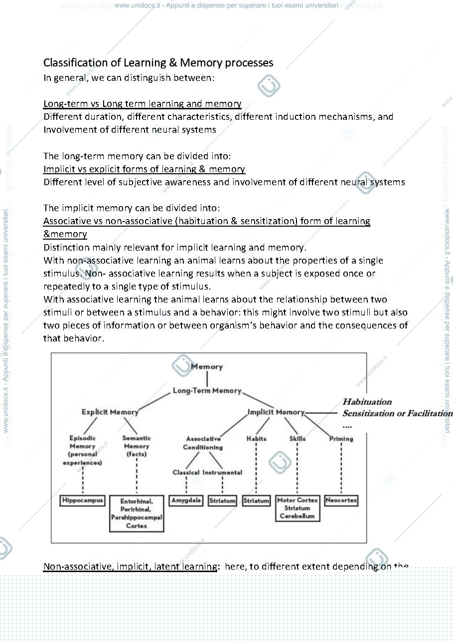 Anteprima pagina 3 — Lesson 3 - Learning Module