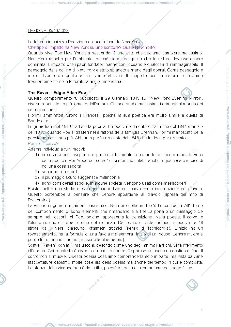 Anteprima pagina 1 — Appunti sugli autori americani legati a New York