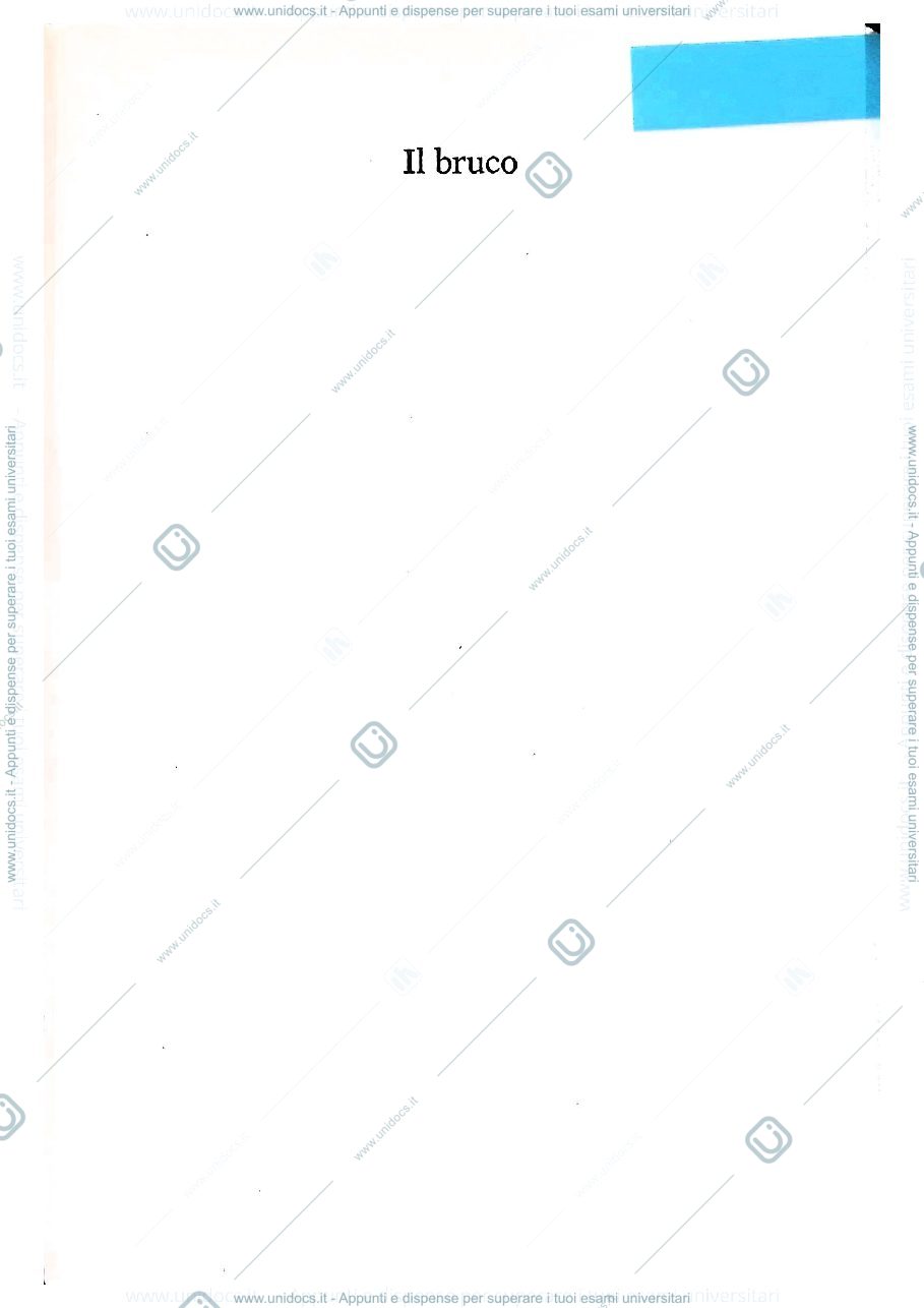 Anteprima pagina 3 — Edogawa Ranpo, "Il bruco"