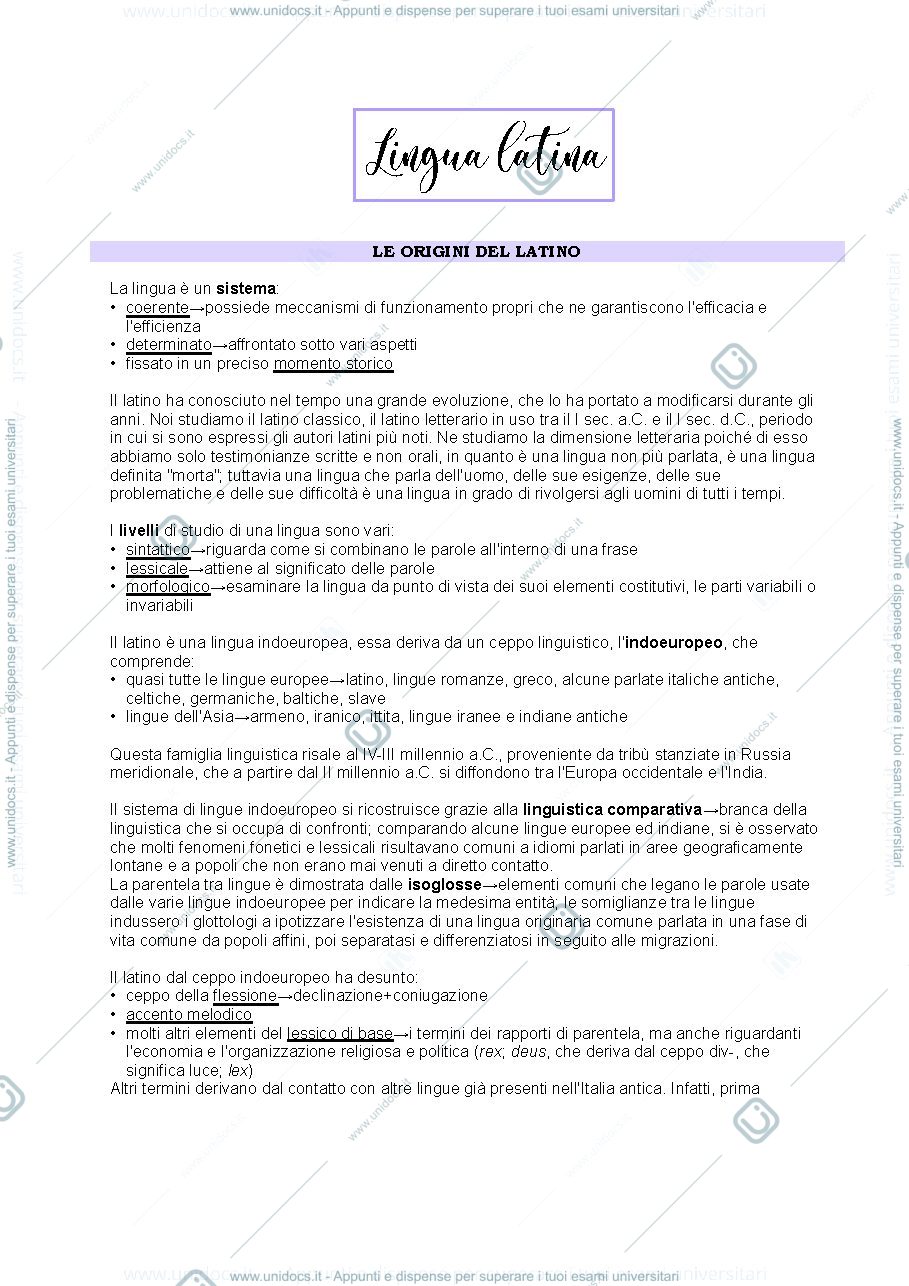 Anteprima pagina 1 — Dispensa lingua latina (professoressa Ricci)