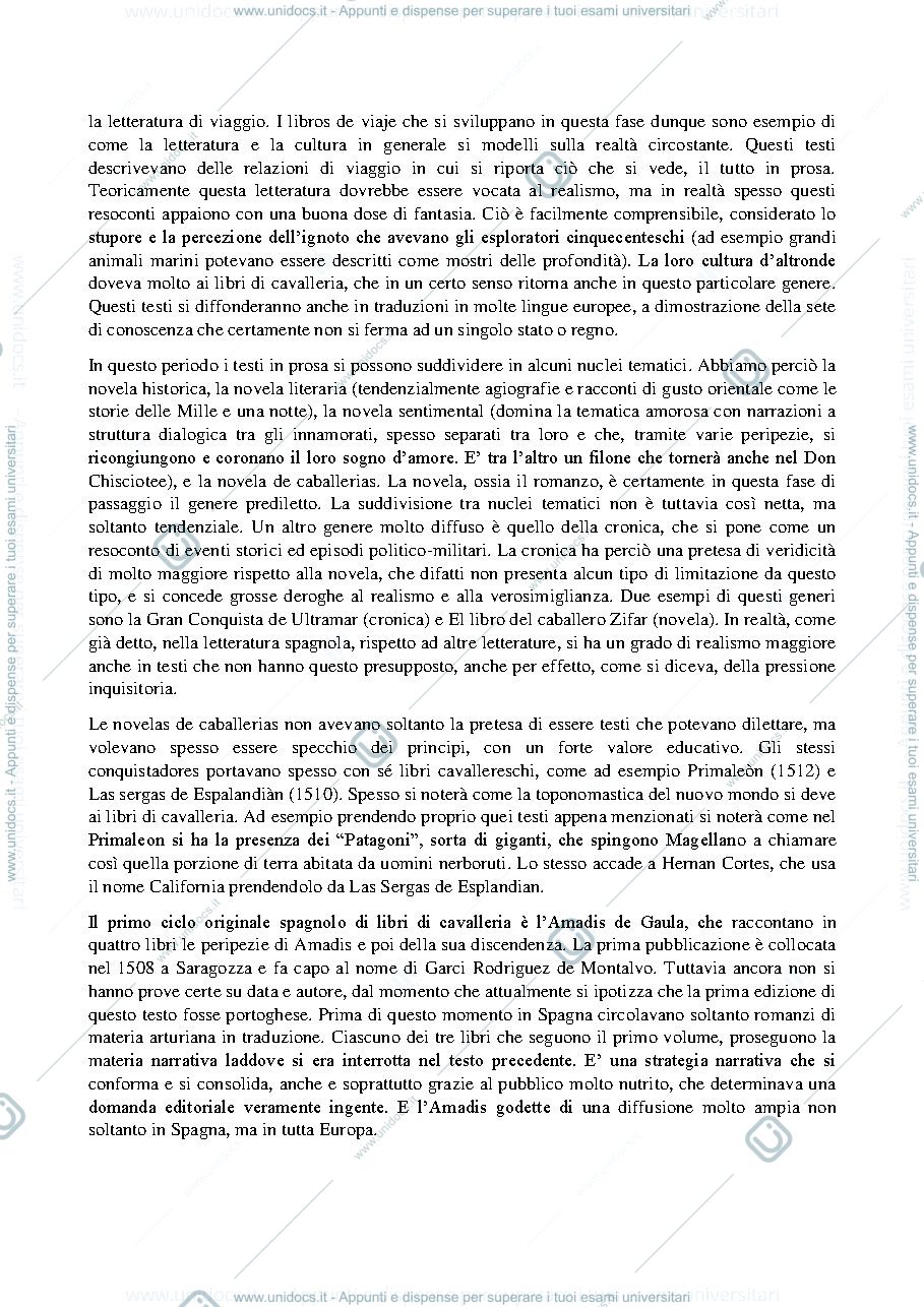 Anteprima pagina 3 — Lezioni Professoressa Bellomi