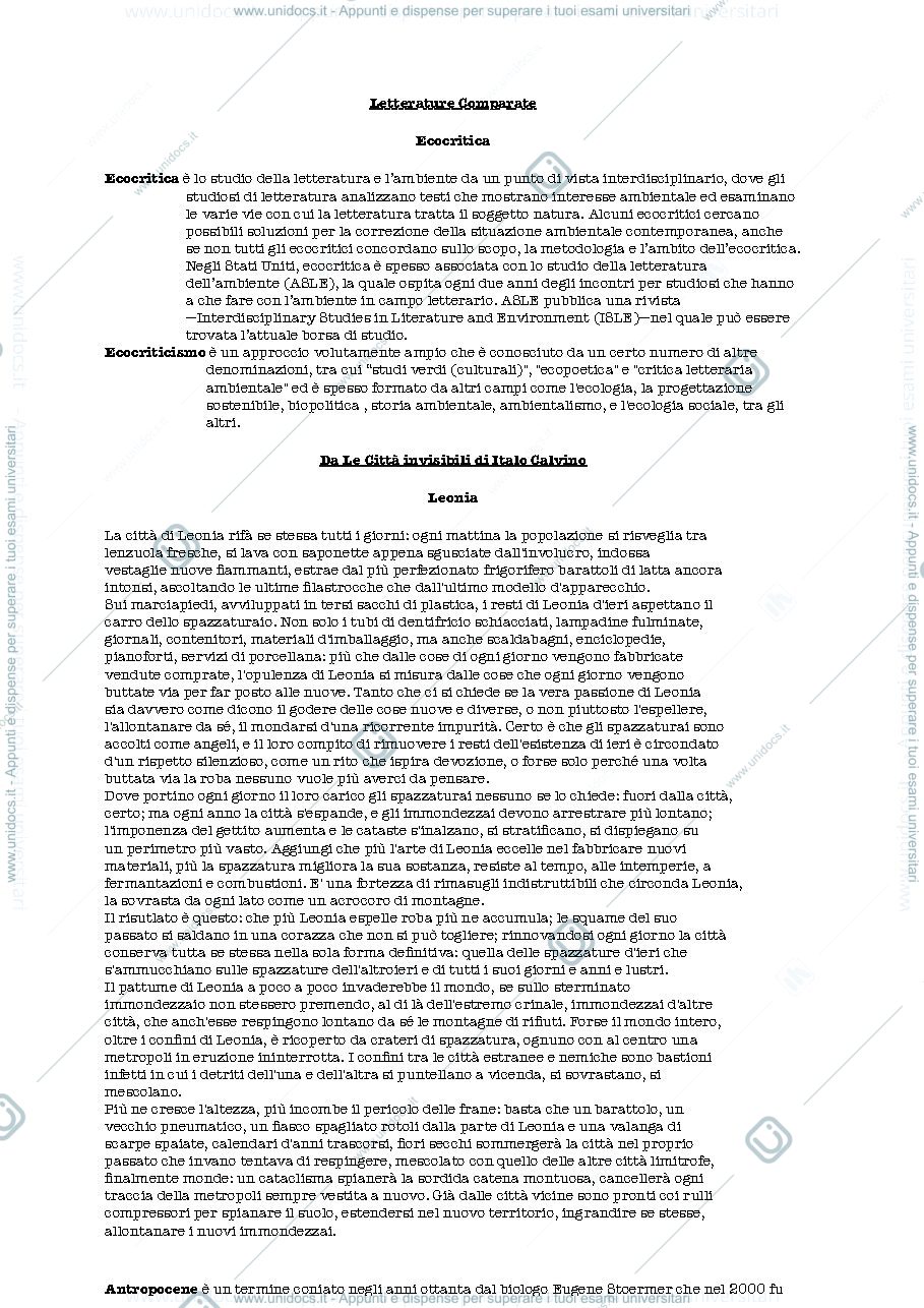 Anteprima pagina 1 — letterature-comparate-prof-iovino-serenella