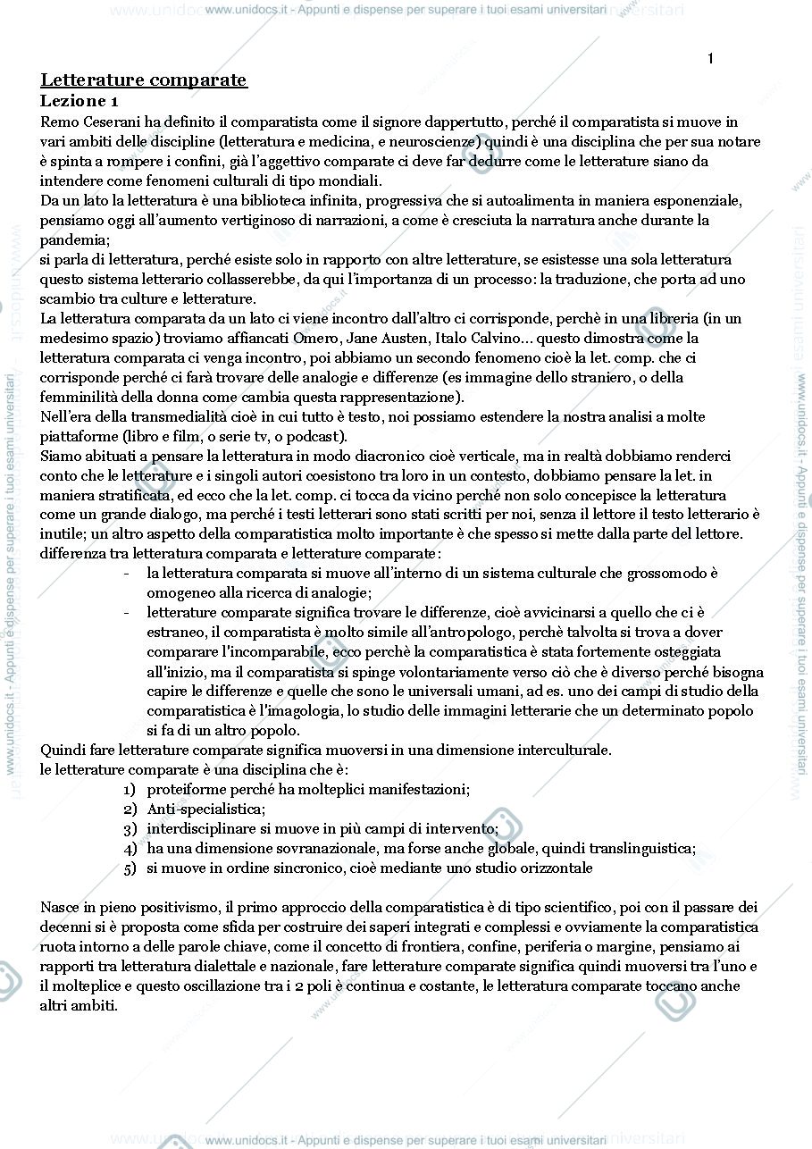 Anteprima pagina 1 — Riassunti Letterature comparate