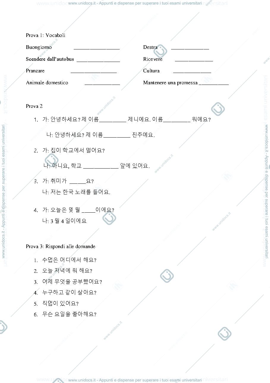 Anteprima pagina 1 — Fac-simile della prova scritta di coreano 1