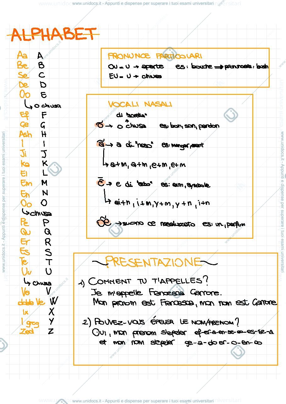 Anteprima pagina 2 — Lezione 1