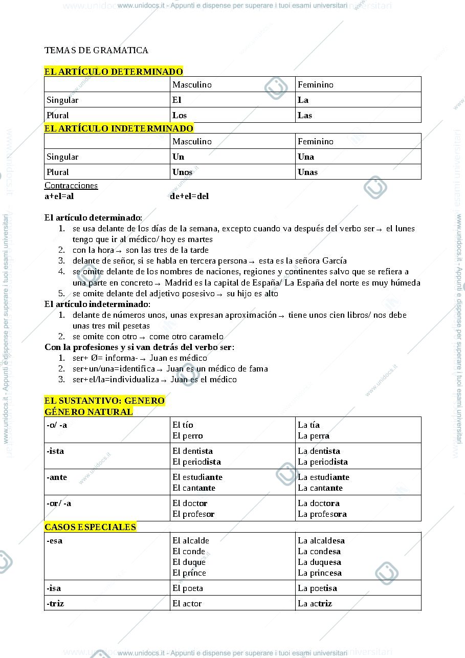 Anteprima pagina 1 — Regole basiche di grammatica spagnola