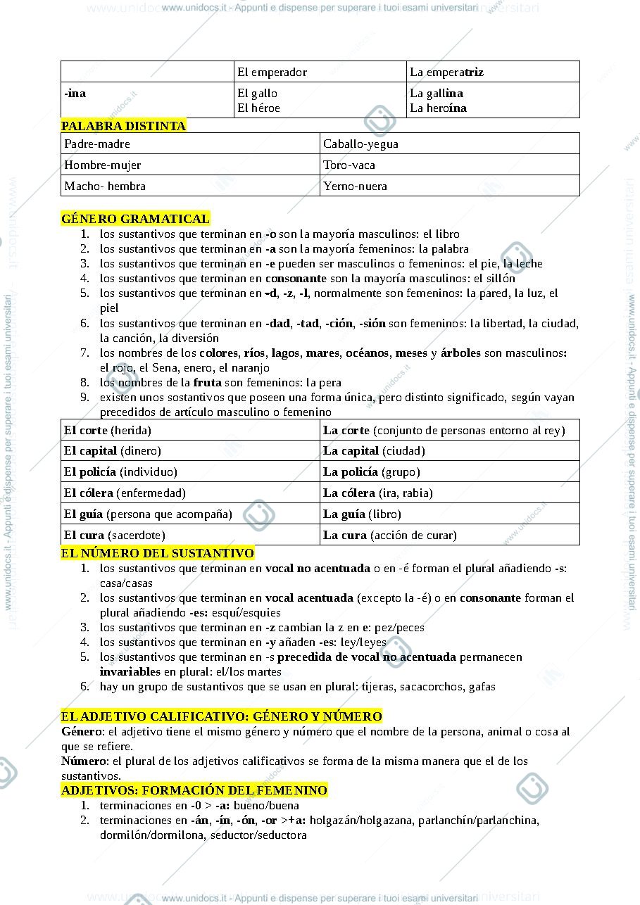 Anteprima pagina 2 — Regole basiche di grammatica spagnola