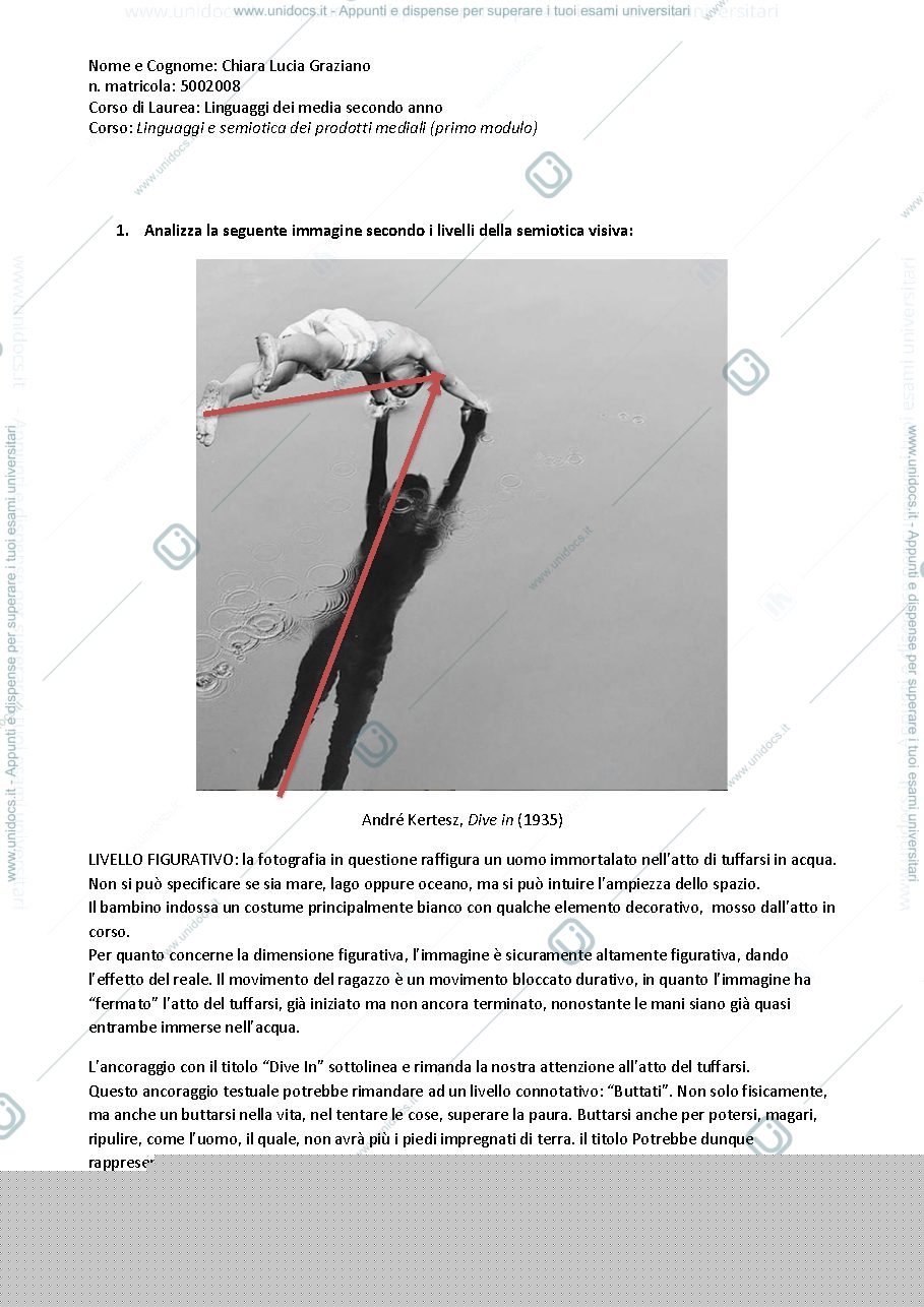 Anteprima pagina 1 — ESAME LINGUAGGI E SEMIOTICA DEI PRODOTTI MEDIALI - ALICE CATI