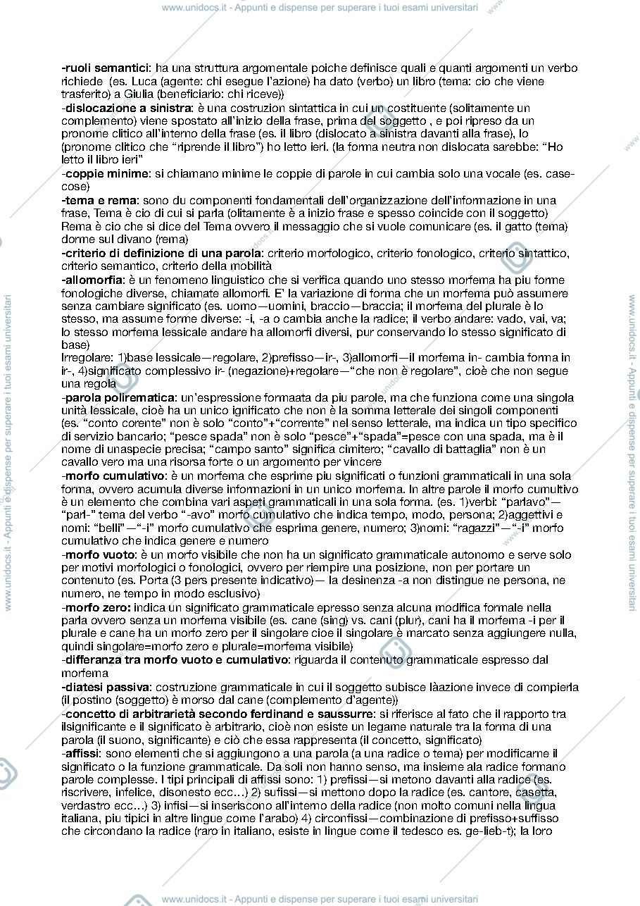 Anteprima pagina 1 — Riassunto Linguistica