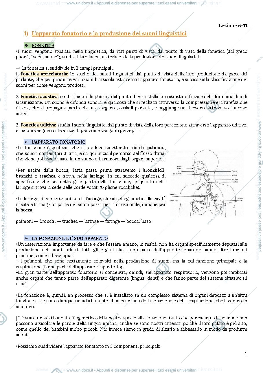 Anteprima pagina 1 — Fonetica e fonologia