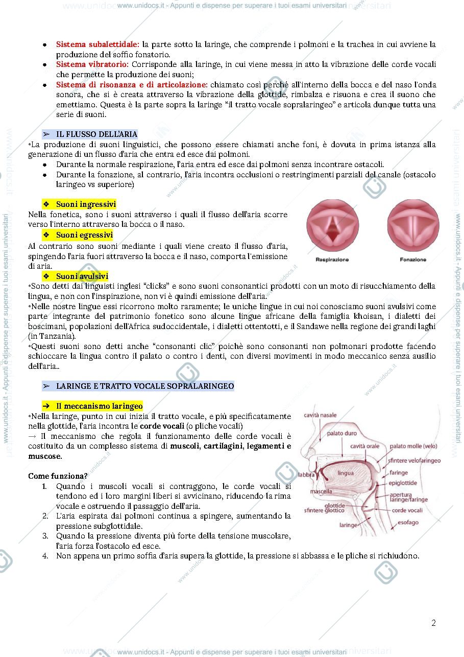 Anteprima pagina 2 — Fonetica e fonologia