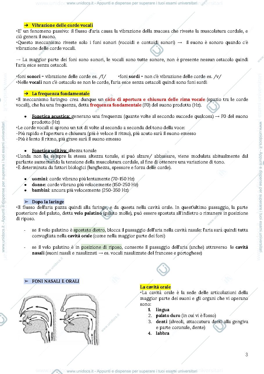 Anteprima pagina 3 — Fonetica e fonologia