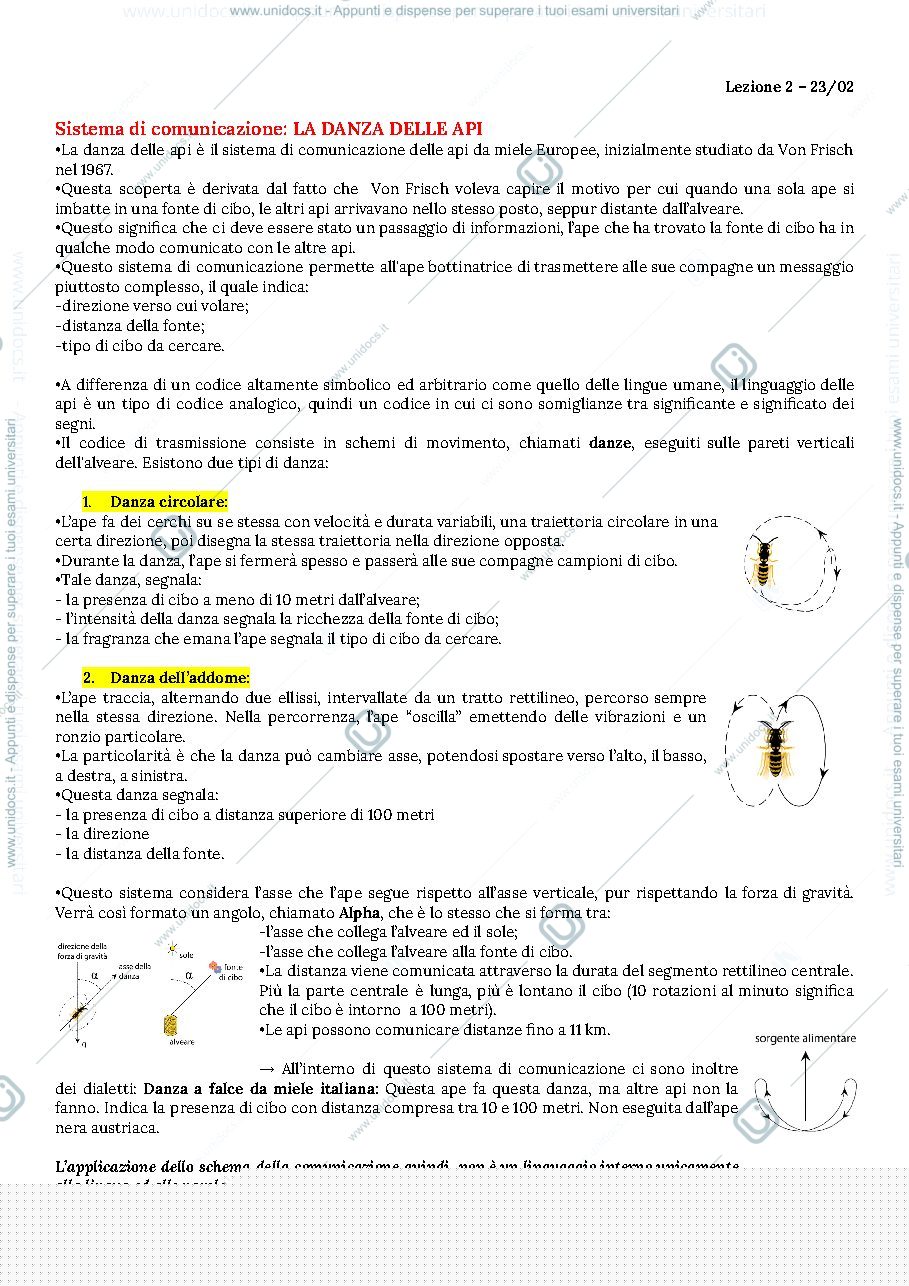 Anteprima pagina 3 — Fondamenti della linguistica