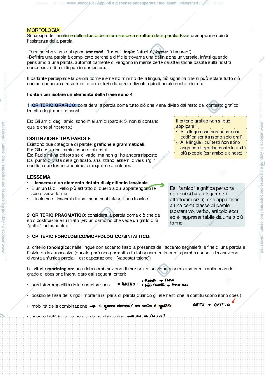 Anteprima pagina 1 — Morfologia