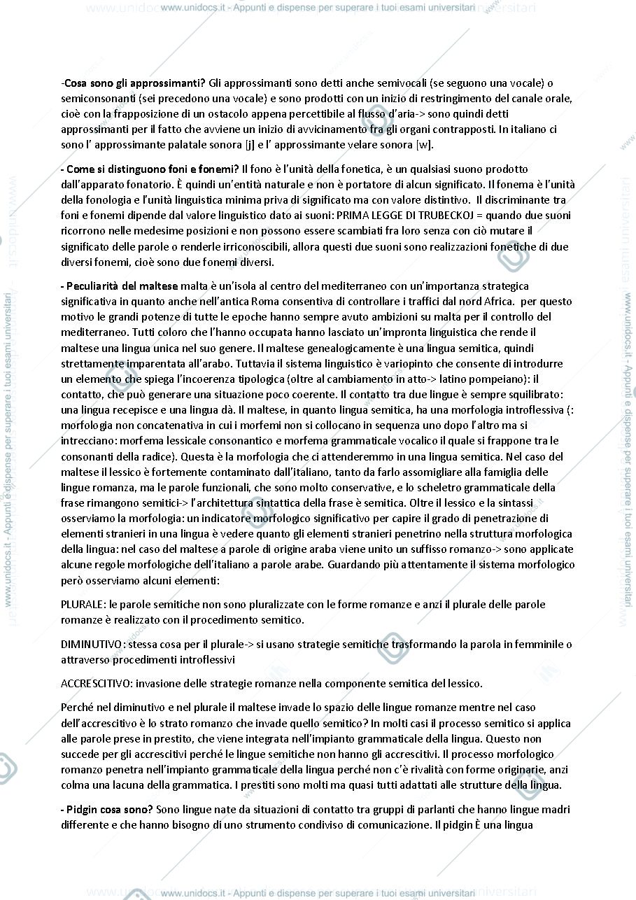 Anteprima pagina 3 — domande di esame di linguistica generale