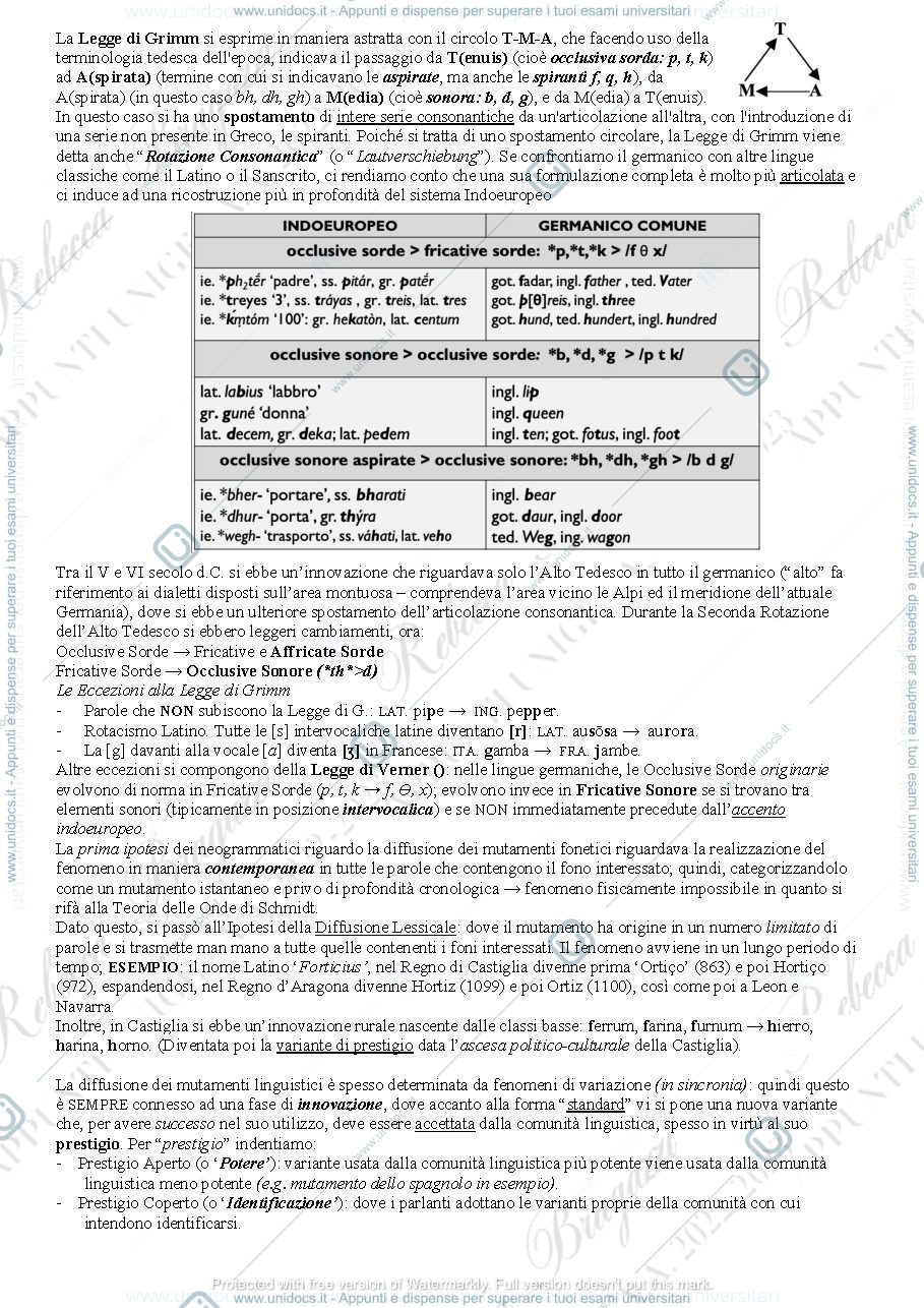 Anteprima pagina 3 — Glottologia