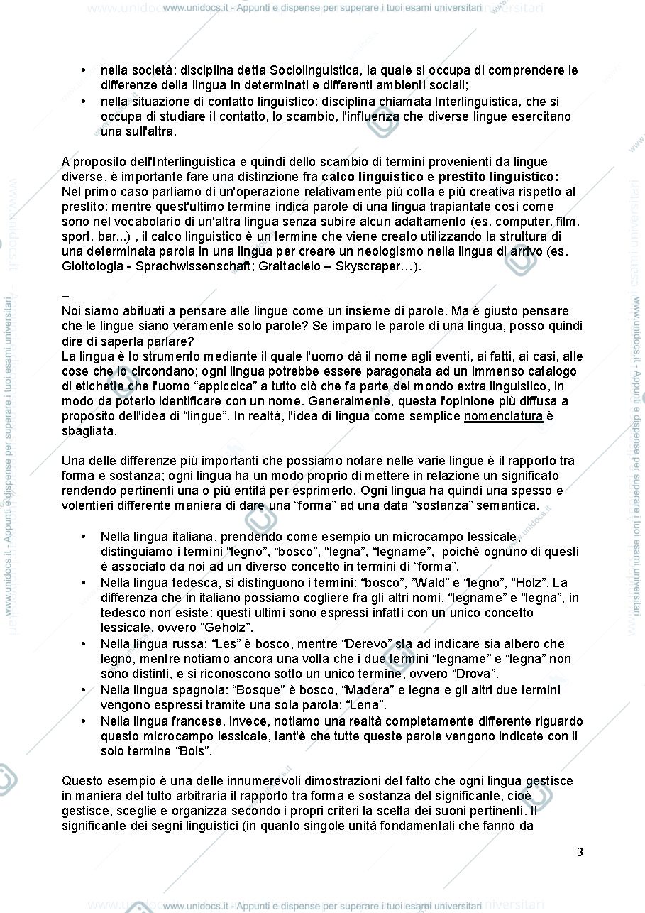 Anteprima pagina 3 — Appunti Linguistica Generale 