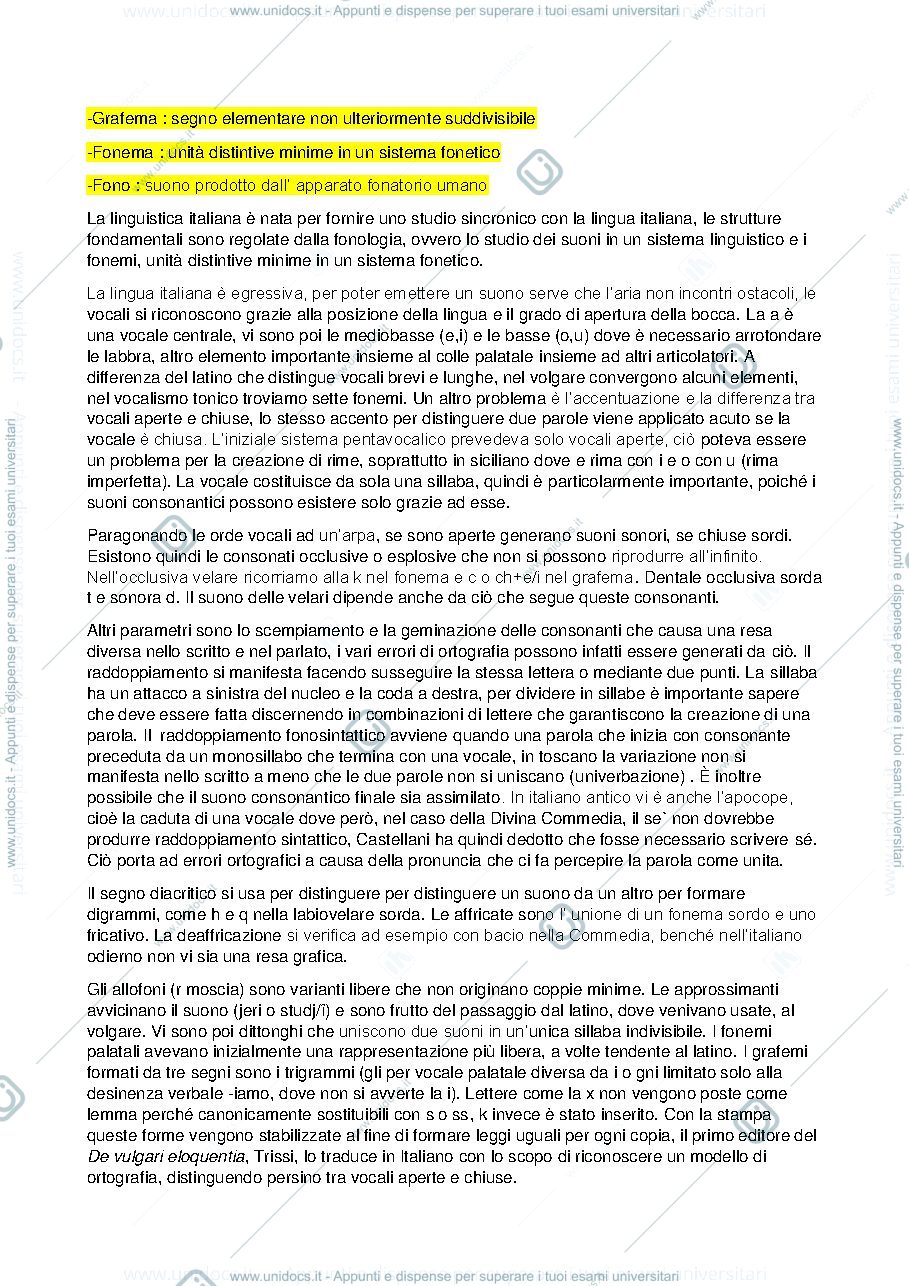 Anteprima pagina 1 — Linguistica italiana