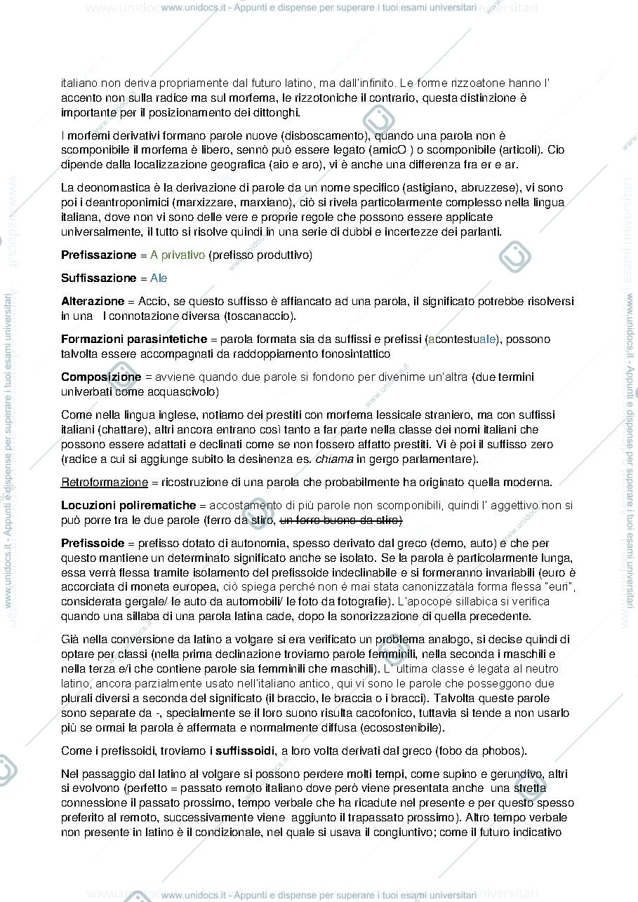 Anteprima pagina 3 — Linguistica italiana