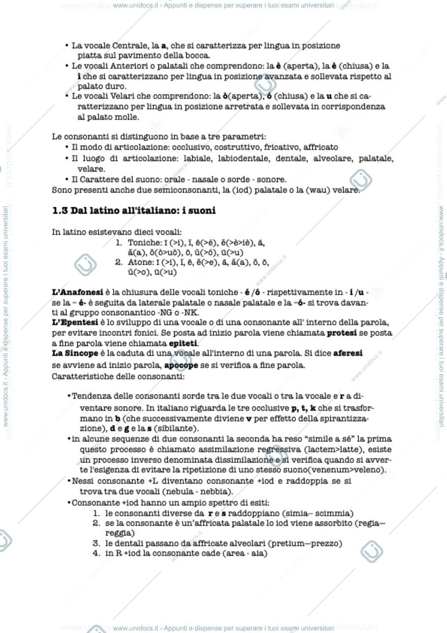 Anteprima pagina 2 — linguistica italiana