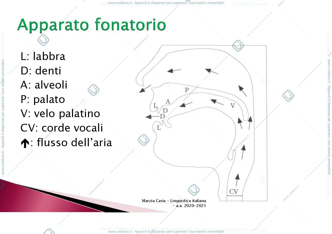 Anteprima pagina 2 — italiano