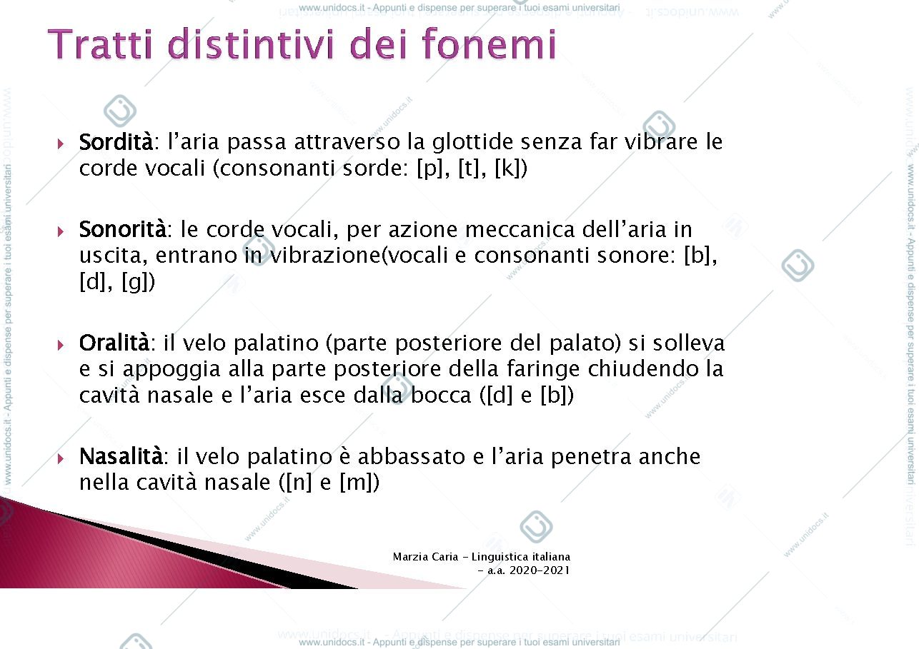 Anteprima pagina 3 — italiano