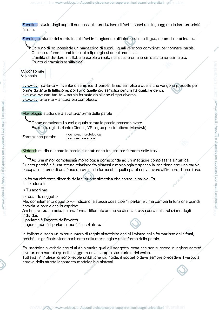 Anteprima pagina 2 — Linguistica 
