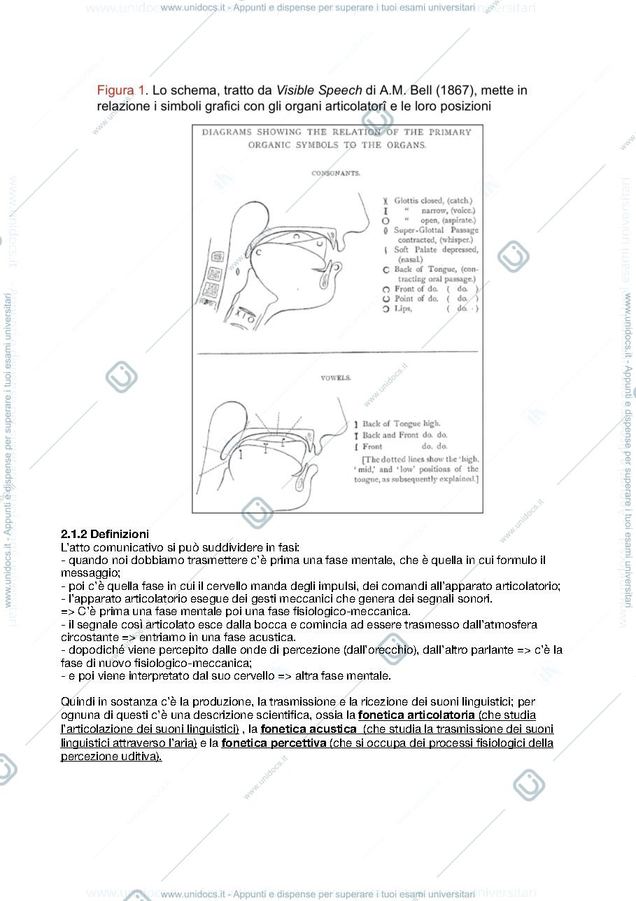 Anteprima pagina 2 — Linguistica 5