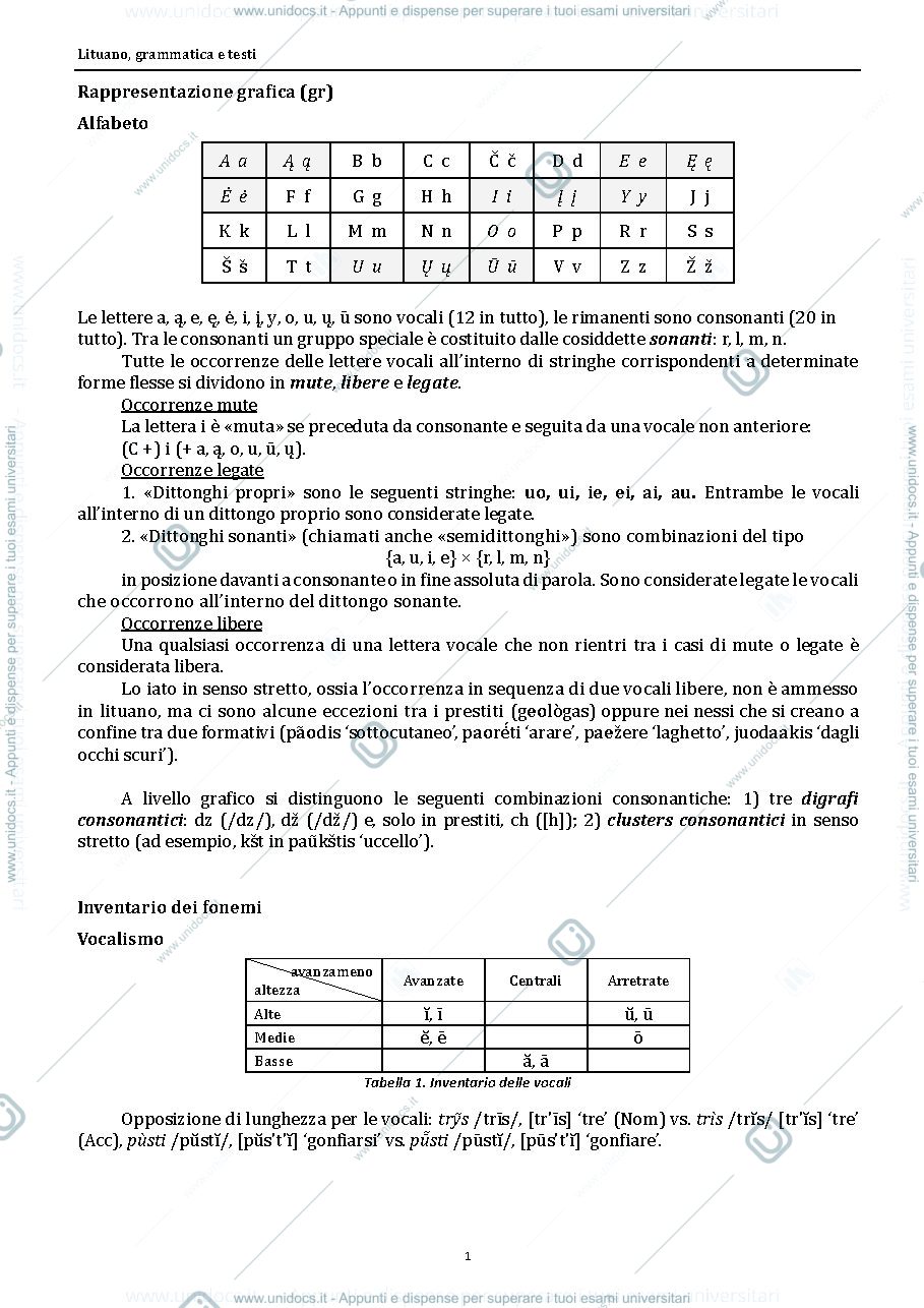Anteprima pagina 1 — Grammatica Lituana