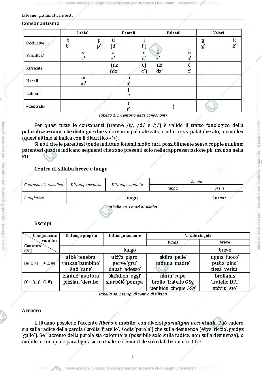 Anteprima pagina 2 — Grammatica Lituana
