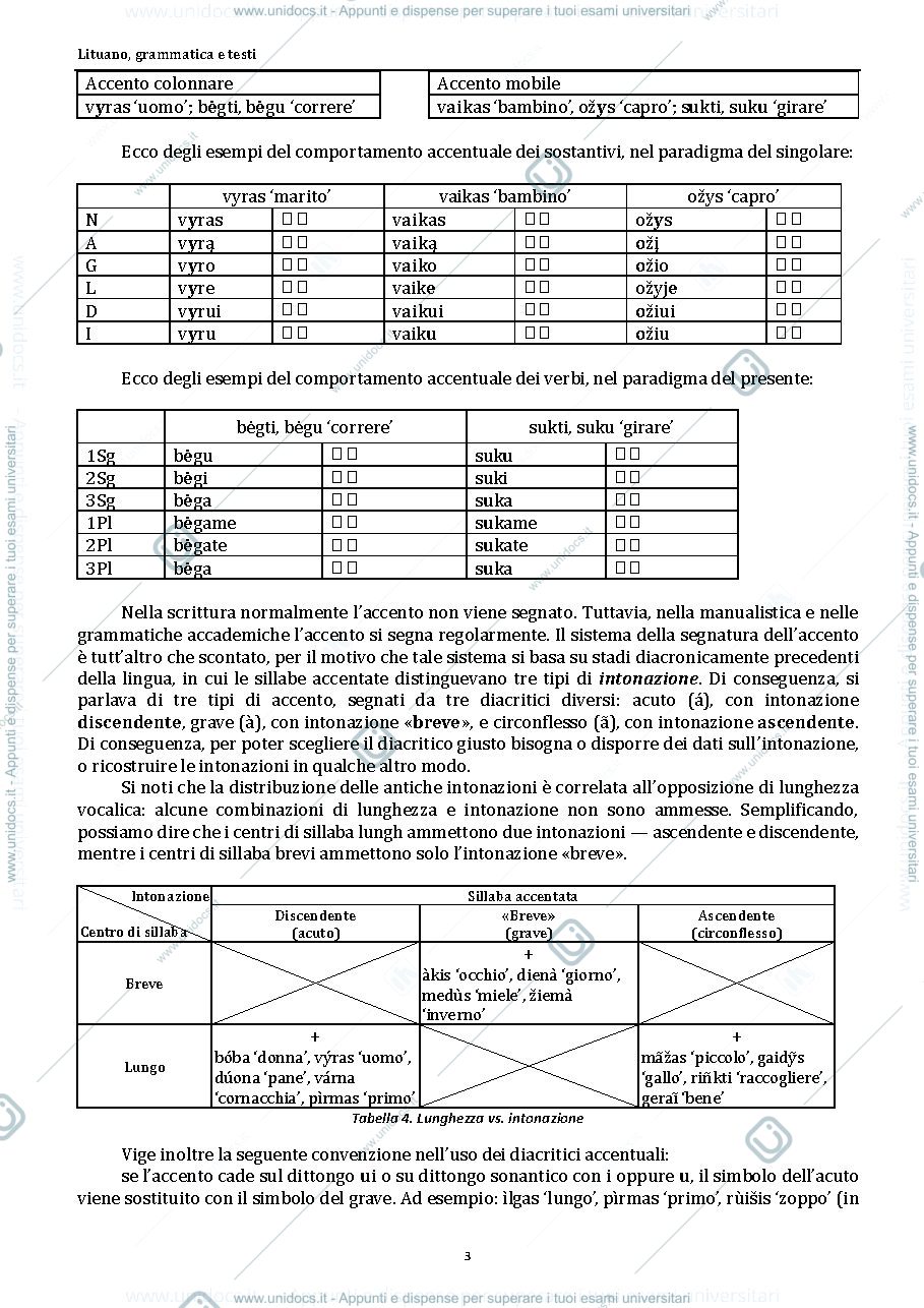 Anteprima pagina 3 — Grammatica Lituana