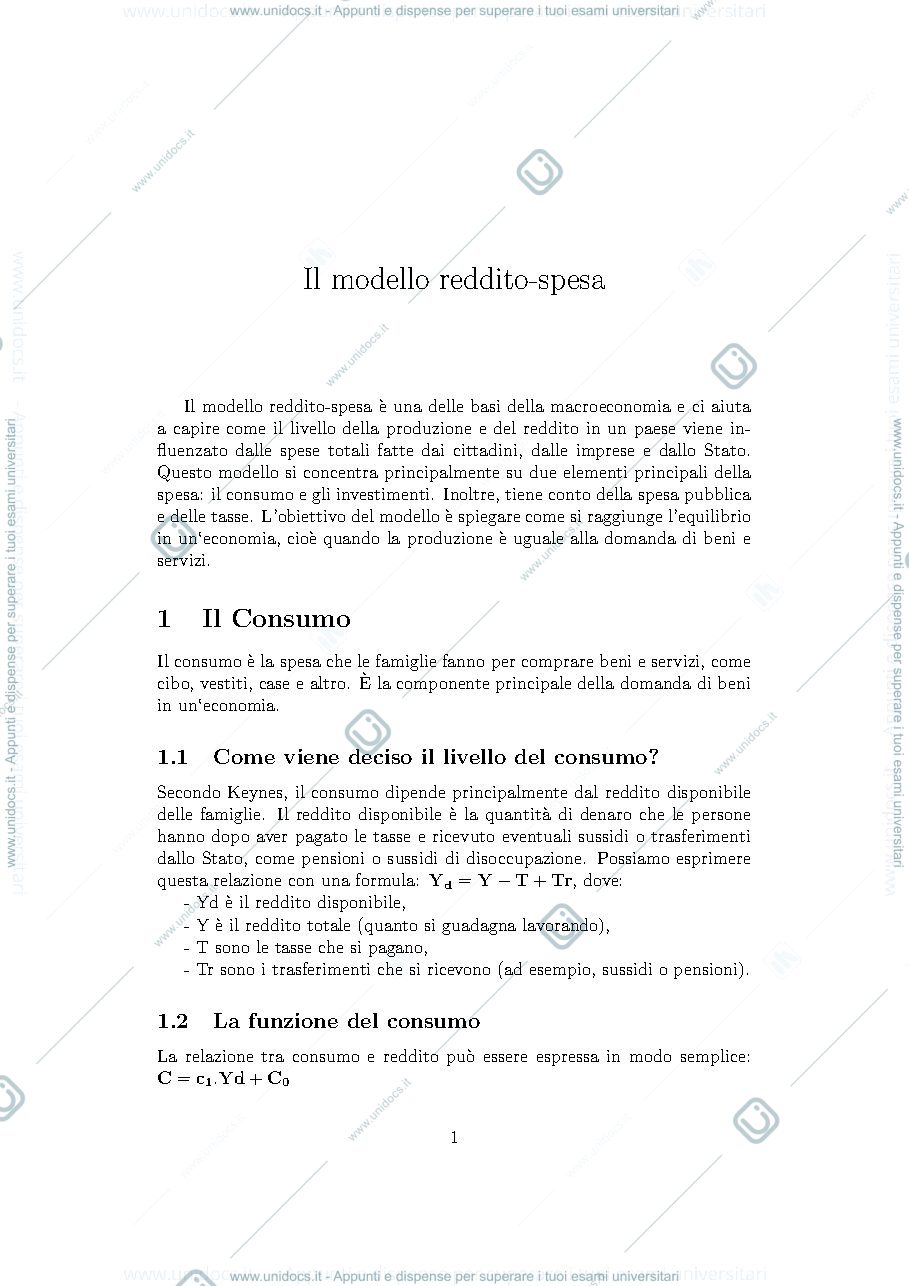 Anteprima pagina 1 — Modello reddito spesa 