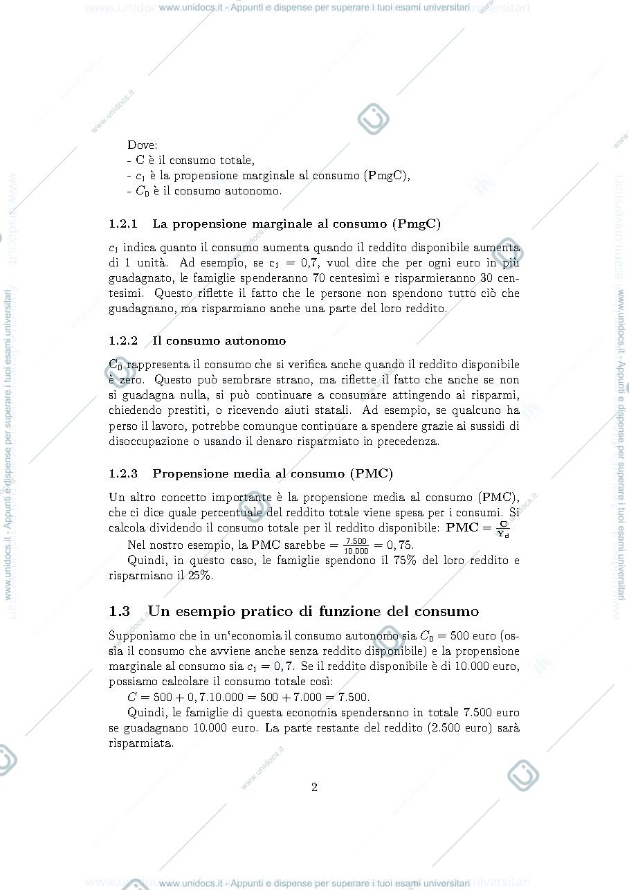 Anteprima pagina 2 — Modello reddito spesa 