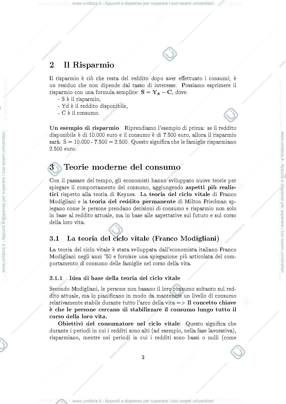 Anteprima pagina 3 — Modello reddito spesa 