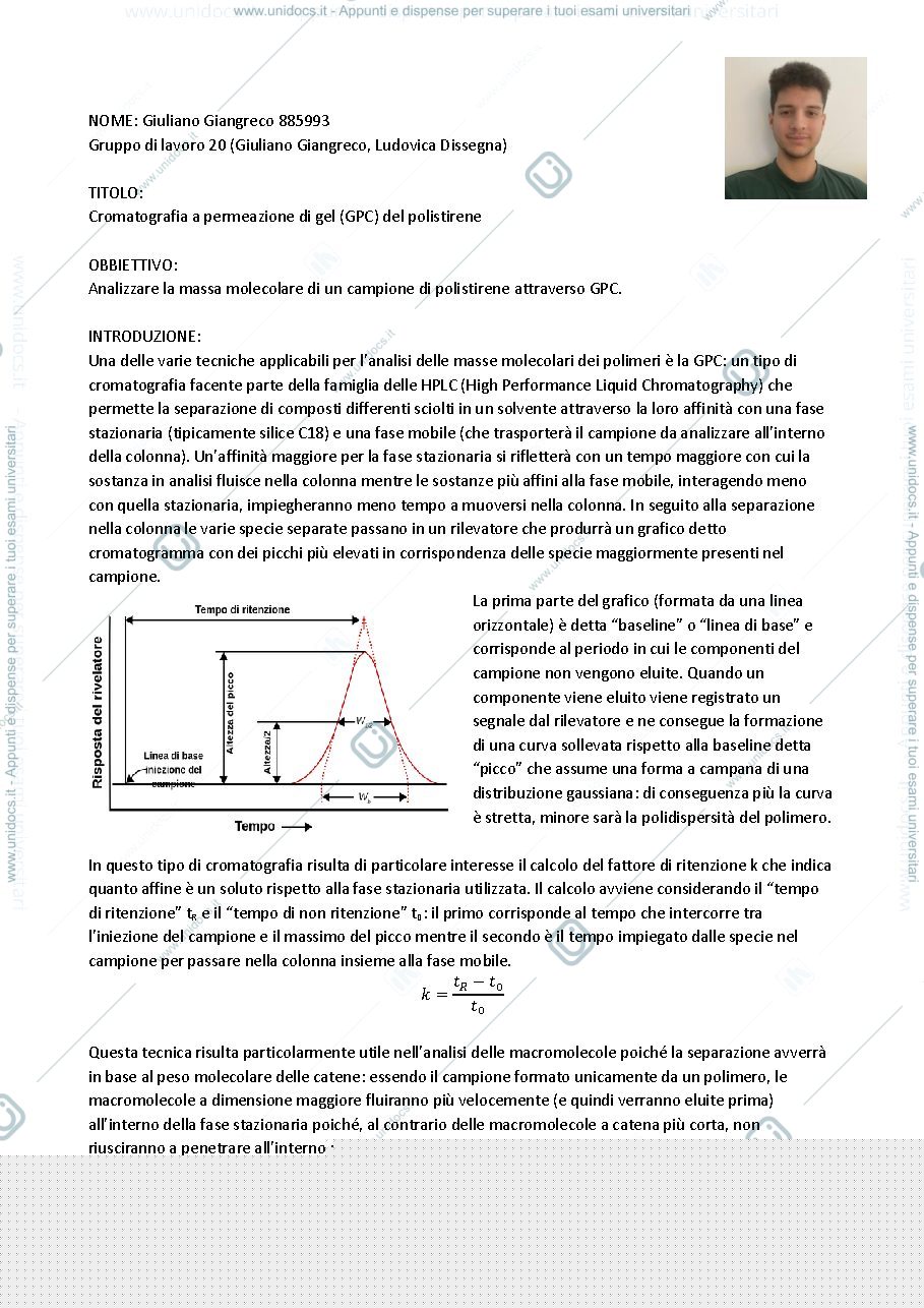 Anteprima pagina 1 — Relazione GPC