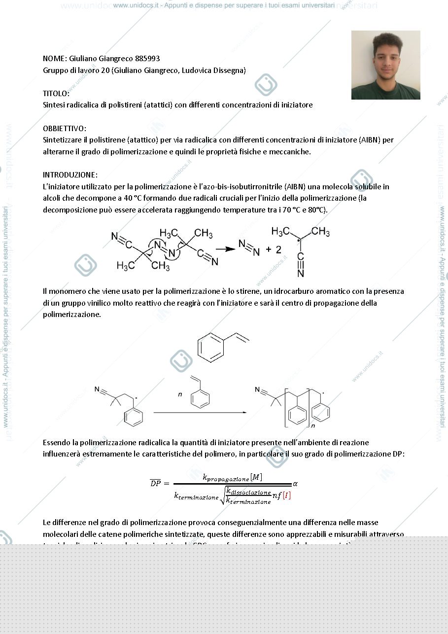 Anteprima pagina 1 — Relazione Sintesi PS