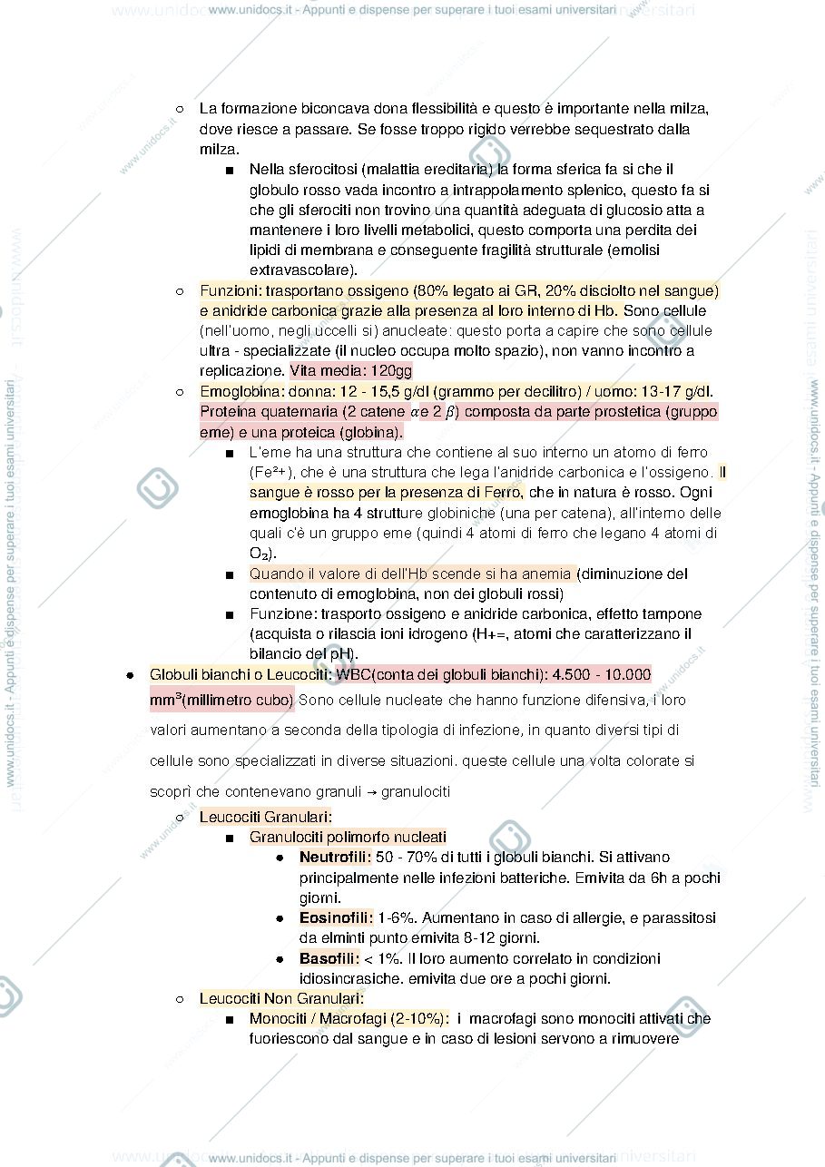 Anteprima pagina 2 — Malattie del sangue 