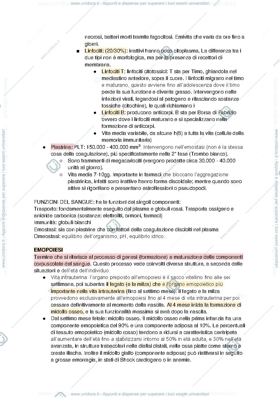 Anteprima pagina 3 — Malattie del sangue 