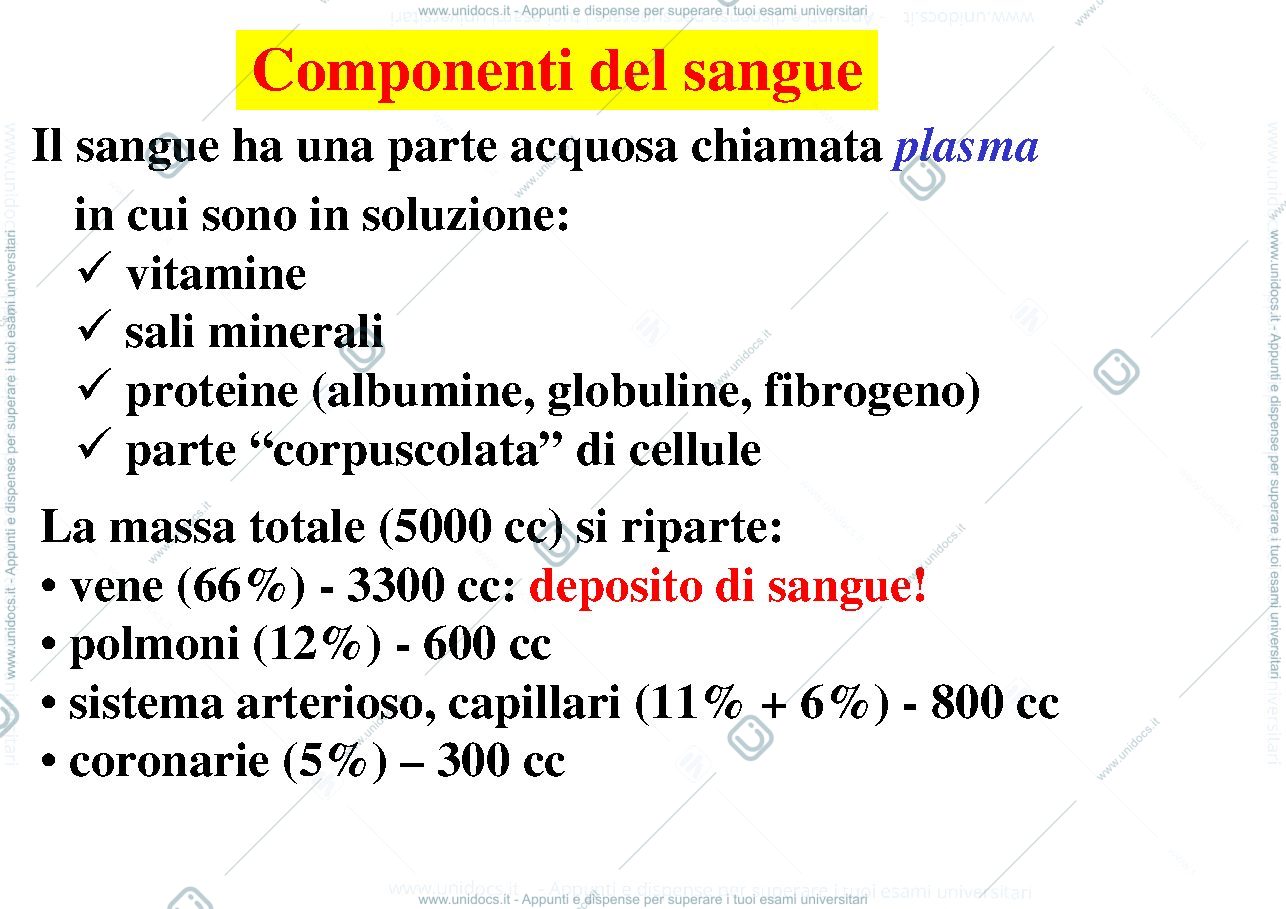 Anteprima pagina 2 — 12_Composizione_sangue